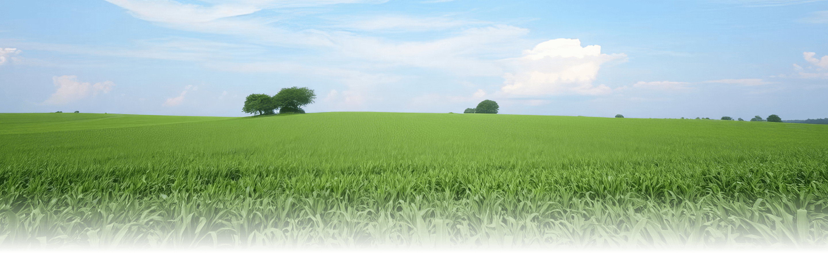 Sustainability page Main Image