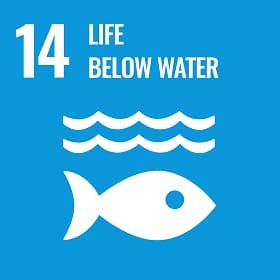 SDGs mark