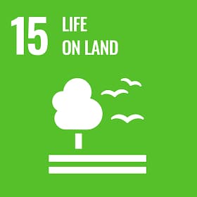 SDGs mark